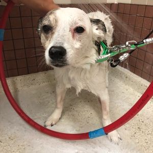 Meet your Posher, Inés